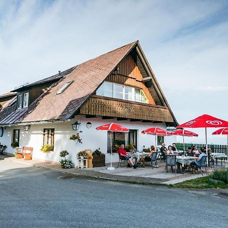 Connyhaus St Oswald Ob Eibiswald Villa Sankt Oswald ob Eibiswald Dış mekan fotoğraf